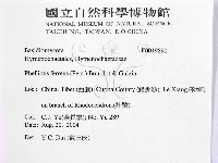 登錄號:F0019890藏品圖，第2張