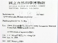 登錄號:F0019891藏品圖，第2張