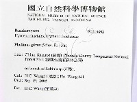 登錄號:F0019892藏品圖，第2張