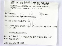 登錄號:F0019895藏品圖，第2張