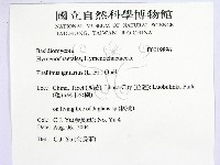 登錄號:F0019896藏品圖，第2張