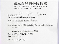 登錄號:F0019899藏品圖，第2張