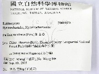 登錄號:F0019900藏品圖，第2張