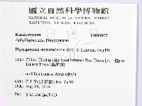登錄號:F0019902藏品圖，第2張