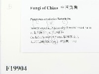 登錄號:F0019904藏品圖，第2張