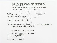 登錄號:F0019904藏品圖，第3張