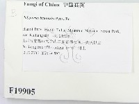 登錄號:F0019905藏品圖，第2張
