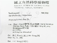 登錄號:F0019905藏品圖，第3張