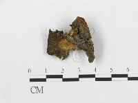 登錄號:F0019905藏品圖，第4張