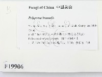 登錄號:F0019906藏品圖，第2張
