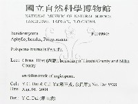 登錄號:F0019906藏品圖，第3張