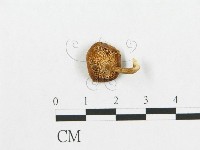登錄號:F0019906藏品圖，第1張
