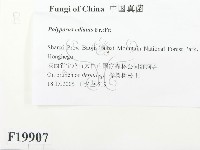 館號:F0019907藏品圖，第2張