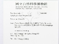 館號:F0019907藏品圖，第3張