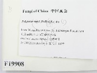 登錄號:F0019908藏品圖，第2張