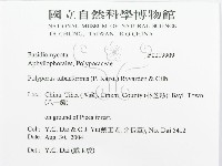 登錄號:F0019909藏品圖，第3張