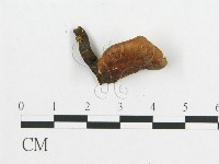 登錄號:F0019909藏品圖，第4張