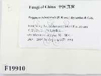 登錄號:F0019910藏品圖，第2張