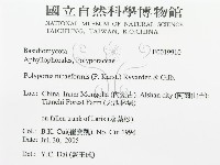 登錄號:F0019910藏品圖，第3張