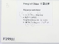 登錄號:F0019911藏品圖，第2張