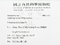 登錄號:F0019911藏品圖，第3張