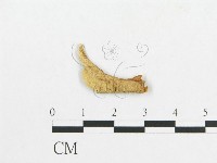 登錄號:F0019911藏品圖，第4張
