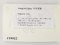 登錄號:F0019912藏品圖，第2張