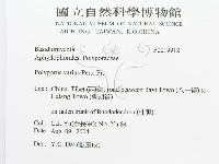 登錄號:F0019912藏品圖，第3張