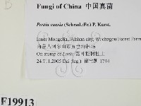 登錄號:F0019913藏品圖，第2張