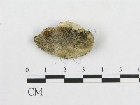 登錄號:F0019914藏品圖，第4張