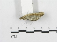 登錄號:F0019914藏品圖，第5張