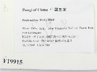登錄號:F0019915藏品圖，第2張