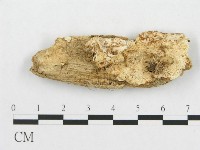 登錄號:F0019915藏品圖，第1張