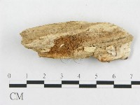 登錄號:F0019915藏品圖，第4張