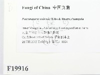 登錄號:F0019916藏品圖，第2張