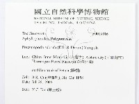 登錄號:F0019916藏品圖，第3張