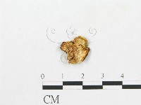登錄號:F0019916藏品圖，第1張
