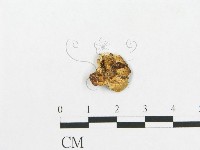登錄號:F0019916藏品圖，第4張