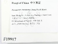 館號:F0019917藏品圖，第2張