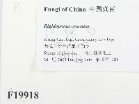 登錄號:F0019918藏品圖，第2張