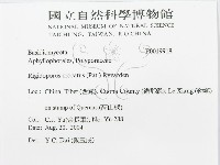 登錄號:F0019918藏品圖，第3張