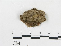 登錄號:F0019918藏品圖，第4張