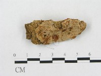 登錄號:F0019919藏品圖，第1張