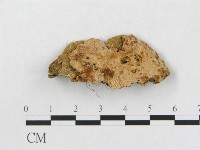 登錄號:F0019919藏品圖，第4張