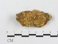 登錄號:F0019919藏品圖，第5張