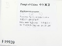登錄號:F0019920藏品圖，第2張