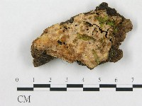 登錄號:F0019920藏品圖，第1張