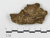 登錄號:F0019920藏品圖，第4張