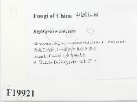 登錄號:F0019921藏品圖，第2張