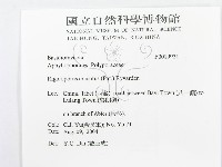 登錄號:F0019921藏品圖，第3張